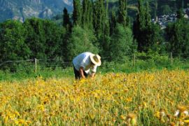 A partir de mañana, 1 de febrero