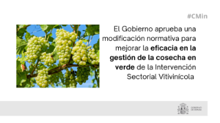 Hoy, en Consejo de Ministros