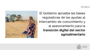 Hoy, en Consejo de Ministros