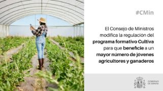 Hoy, en Consejo de Ministros 