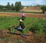 En el marco de la PAC 2023-2027