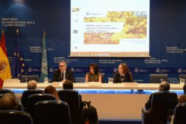 EL MINISTERIO DE AGRICULTURA, PESCA Y ALIMENTACIÓN CELEBRA LA II JORNADA SIPAM 