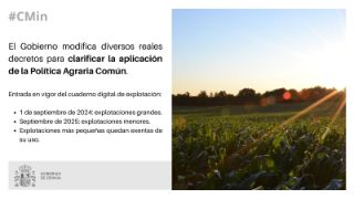 Hoy, en Consejo de Ministros  