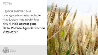 INFORME SOBRE EL PLAN ESTRATÉGICO DE LA POLÍTICA AGRARIA COMÚN EN ESPAÑA 2023-2027