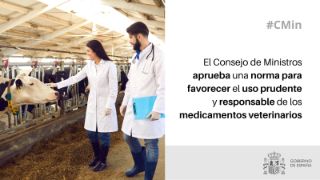 Hoy, en Consejo de Ministros