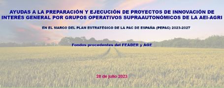 El próximo 28 de julio, a las 10.00 h 