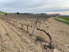 Con un plazo de ejecución de 24 meses