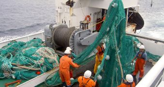 Hoy, en el Consejo de Ministros 
