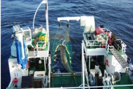 Hasta el próximo 26 de abril  