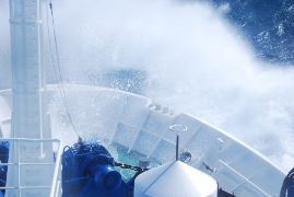 HASTA EL PRÓXIMO 12 DE MARZO