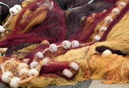 EL PLENO DEL PARLAMENTO EUROPEO HA APROBADO HOY EL ACUERDO DE PESCA ENTRE LA UNIÓN EUROPEA Y MARRUECOS 