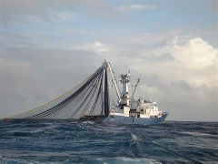 Hoy, en el Consejo de Ministros