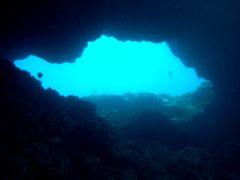 En 2019 se cumplen 33 años de la creación de Isla de Tabarca (Alicante), la primera reserva marina de interés pesquero