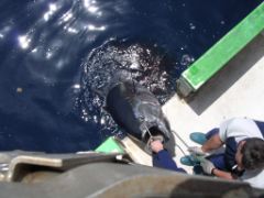 Mediante resoluciones publicadas en el Boletín Oficial del Estado