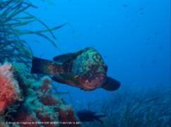 Del 26 de febrero al 11 de marzo