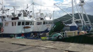 Hoy, por videoconferencia