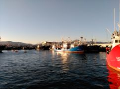 Tras conocer la propuesta de la CE para el 2020