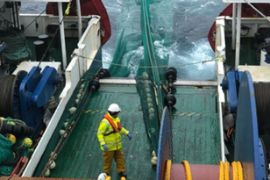 Partiendo del Puerto de St.Jonhs (Canadá) 