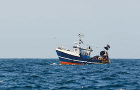 El comité de seguimiento se celebra mañana en Barbate (Cádiz)