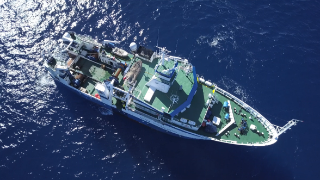 Entre el 12 de junio y el 2 de julio