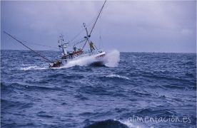 Desde la 00.00 horas de hoy