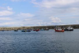 EN UNA REUNIÓN MANTENIDA POR VIDEOCONFERENCIA
