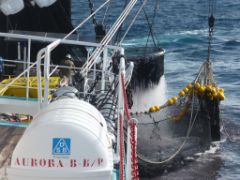 Tras años de inactividad, ha entrado en vigor este mes de julio