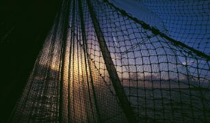 Mediante resolución publicada hoy en BOE