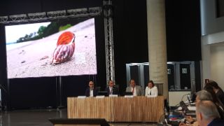 EN LA 94º REUNIÓN DE CIAT, EN BILBAO