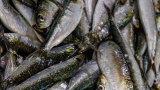 Publicada la resolución en el Boletín Oficial del Estado 