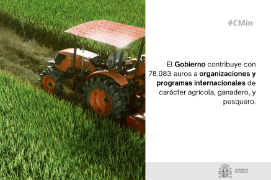 Por acuerdo en Consejo de Ministros, hoy