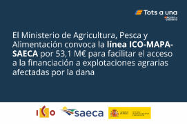 El 31 de diciembre, en el BOE 