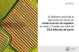 En Consejo de Ministros