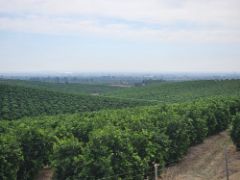 Con fondos del Plan de Recuperación, Transformación y Resiliencia