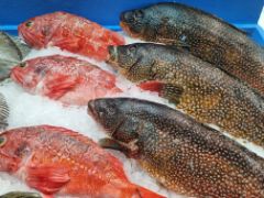 Hoy, durante la clausura de la Asamblea Anual de Fedepesca