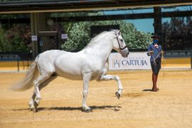 Por limitaciones de aforo se recomienda reservar previamente  