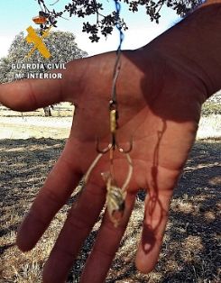 Operación de la Guardia Civil contra el uso de artes prohibidas para la caza. Todas las artes tenían como finalidad la captura o muerte de...