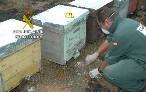 La Guardia Civil  investiga a  dos personas como supuestos autores de dos delitos de incendio  forestal. 