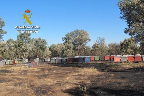 La Guardia Civil  investiga a  dos personas como supuestos autores de dos delitos de incendio  forestal. 