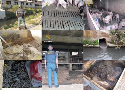 El SEPRONA de la Guardia Civil y gracias a la colaboración ciudadana, ha desarrollado la operación ‘LIXIVIADO’, una investigación dirigida a...