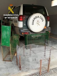 El SEPRONA realiza una importante operación contra el uso de venenos en el medio natural. Operación ANTITOX VII.