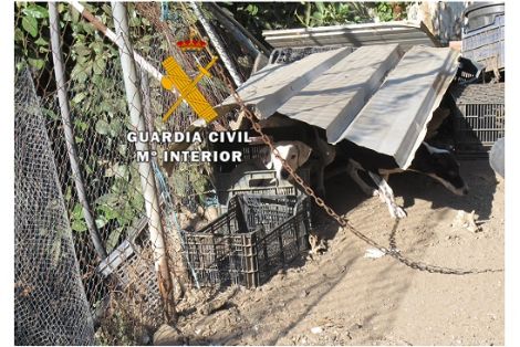 Agentes pertenecientes a las Patrullas del Servicio de Protección de la Naturaleza (SEPRONA), realizan tres actuaciones contra el maltrato animal.