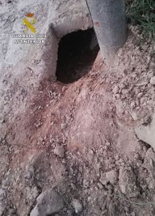 El SEPRONA de la Guardia Civil, dentro de la operación ‘PUPPIES’, investiga a tres personas por sepultar vivos a nueve cachorros de una camada. La...