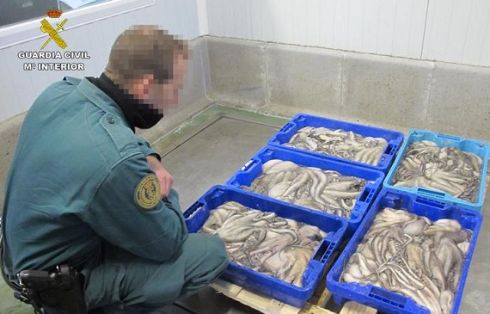 La Guardia Civil intervino 5.541 kg de diferentes especies pesqueras congeladas. 