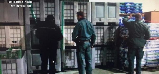 La Guardia Civil intervino 5.541 kg de diferentes especies pesqueras congeladas.