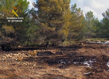La Guardia Civil investiga a dos personas por sendos incendios que arrasaron cerca de una hectárea de masa forestal