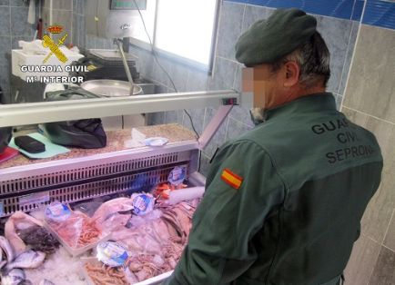 La Guardia Civil decomisa cerca de una tonelada de pescado en mal estado, en una pescadería.