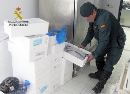 La Guardia Civil decomisa cerca de una tonelada de pescado en mal estado, en una pescadería.