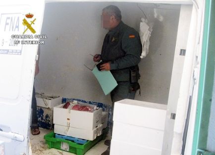 La Guardia Civil decomisa cerca de una tonelada de pescado en mal estado, en una pescadería.