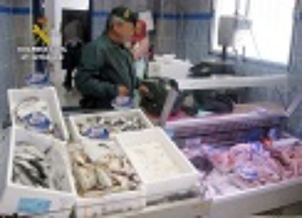 La Guardia Civil decomisa cerca de una tonelada de pescado en mal estado, en una pescadería.